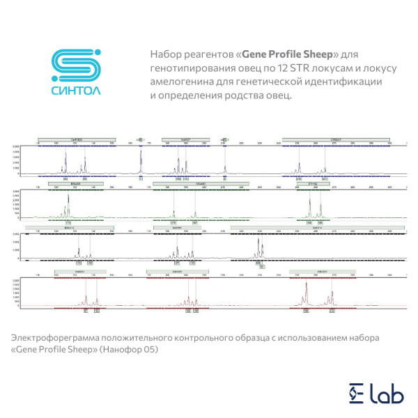 Набор реагентов «Gene Profile Sheep» (НПФ Синтол)