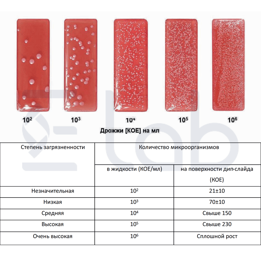 Экспресс-тест Дип слайд DipSlide Грибы/Грибы — изображение 2